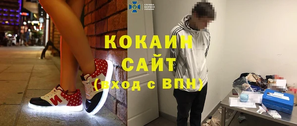 крисы Дмитров