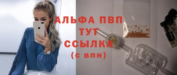 крисы Дмитров