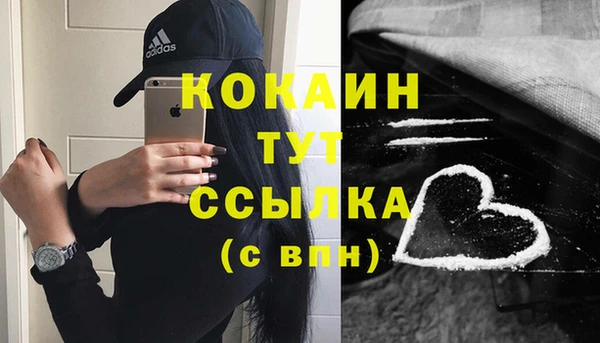 2c-b Дмитриев