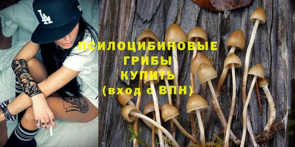 гидропоника Гусев