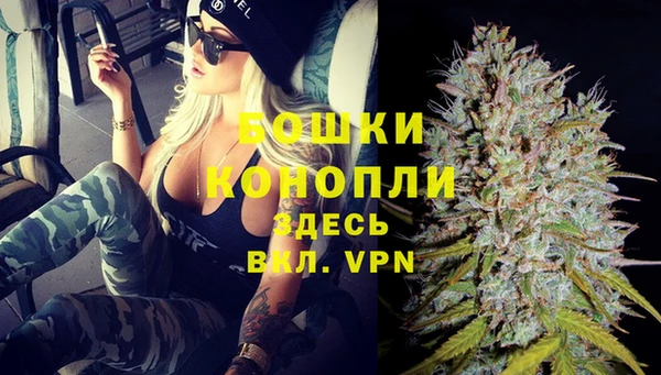 крисы Дмитров